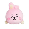 BT21 Baby Cooky Lying Down Plush